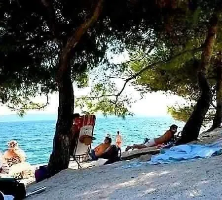 Tomislav Mamic Trogir